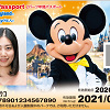 キャステル 【速報】ディズニー年パス2020新デザイン！3種の実写デザイン！購入場所＆年パス使用不可日も！