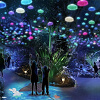 キャステル 【2021】大阪・花の文化園（はなぶん）イルミネーション情報まとめ！開催期間、チケット料金、見どころ