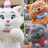 【コロナ後】ディズニーランドのキャラクターグリーティング情報!ソーシャルディスタンスグリまとめ!