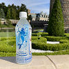 キャステル 【ディズニーへの持ち込み】水筒・ペットボトルやおにぎりは持ち込みOK?飲み物・食べ物はダメ?