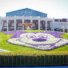 キャステル 【最新】ディズニー12時入園チケット情報！楽しみ方＆混雑状況まとめ！