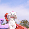 キャステル ディズニーの猫キャラクター★パークで会える&パレードに登場する6匹!