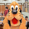 キャステル ディズニーの犬キャラクター16選！名前や登場映画と併せてご紹介！主人公犬から愛犬まで♪