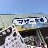 キャステル 【マザー牧場】駐車場完全ガイド！2ヶ所の駐車場のオープン時間や料金、割引、混雑を徹底解説！