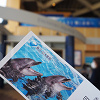 キャステル エポスカードで割引になる水族館全10種類！鴨川シーワールド・須磨海浜水族園など北海道から九州までご紹介