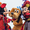 キャステル 【ディズニー】人気の犬キャラ「プルート」徹底解説！グッズ・誕生日・会える場所はどこ？