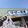 【2023】マザー牧場のお土産まとめ!お菓子・チーズ・ストラップなど、通販&カフェも