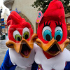 キャステル 【USJ】キャラクターからサインをもらう方法!もらえるキャラクターは誰?おすすめのペンやサイン帳も紹介