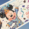 キャステル 【販売休止中】ディズニーギフトパスポートとは？使い方・有効期限・値段・購入方法徹底解説