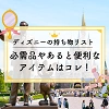 キャステル ディズニーへの持ち物リスト一覧!最低限の必需品・季節別・タイプ別・天気別まとめ