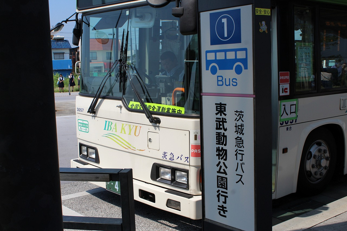 東武動物公園駅から東武動物公園へのアクセス：バス