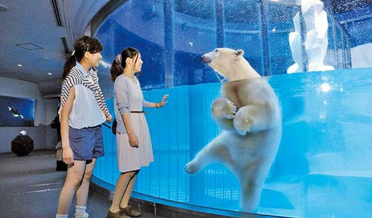 アドベンチャーワールドのチケット払い戻しについて
