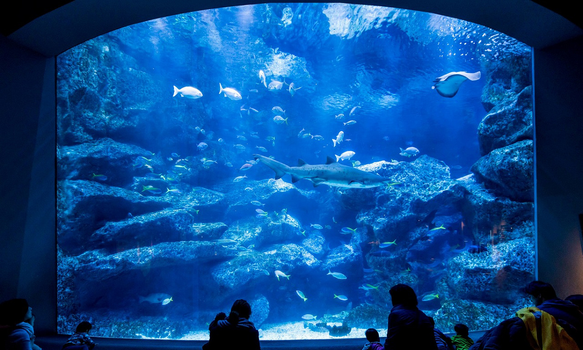 東京スカイツリータウンの水族館