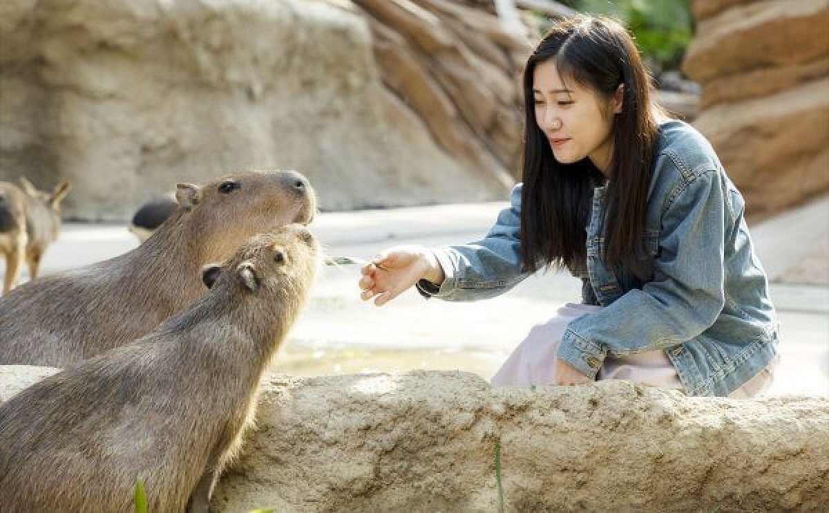 カピバラふれあい