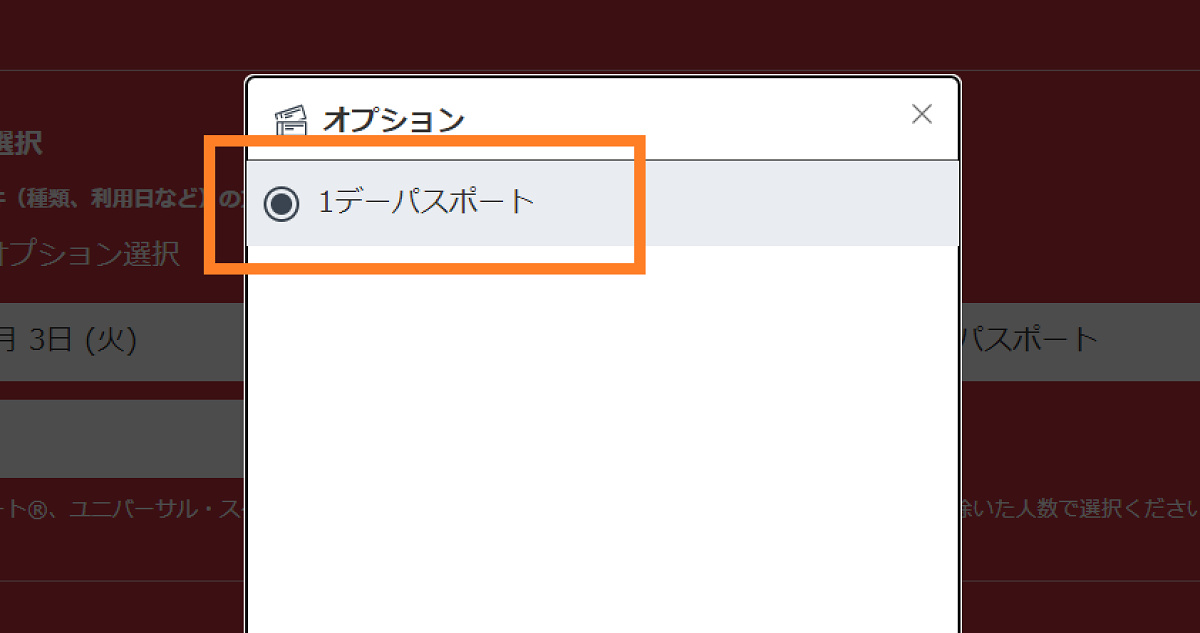 「1デーパスポート」にチェック