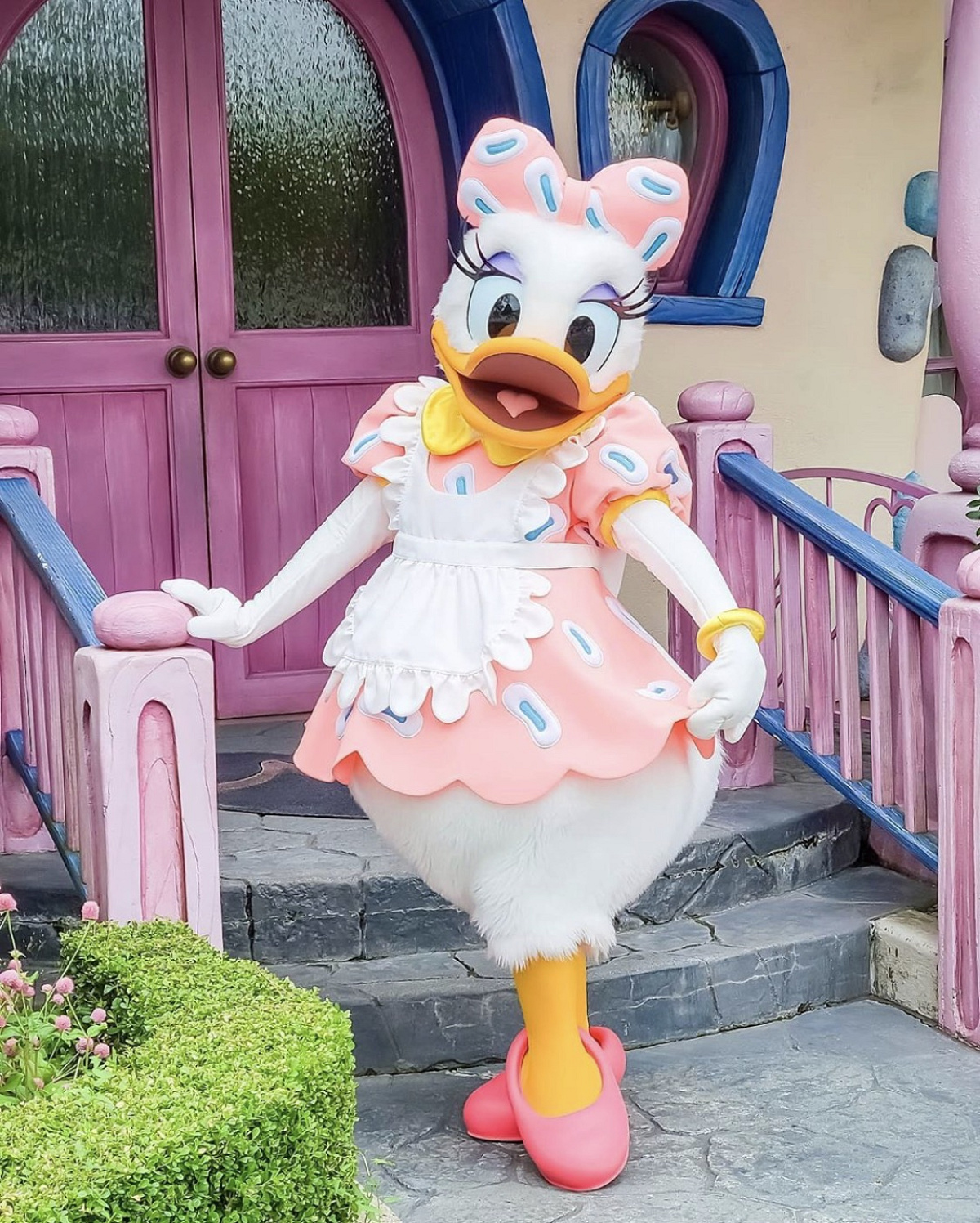 デイジーダック| キャステル | CASTEL ディズニー情報