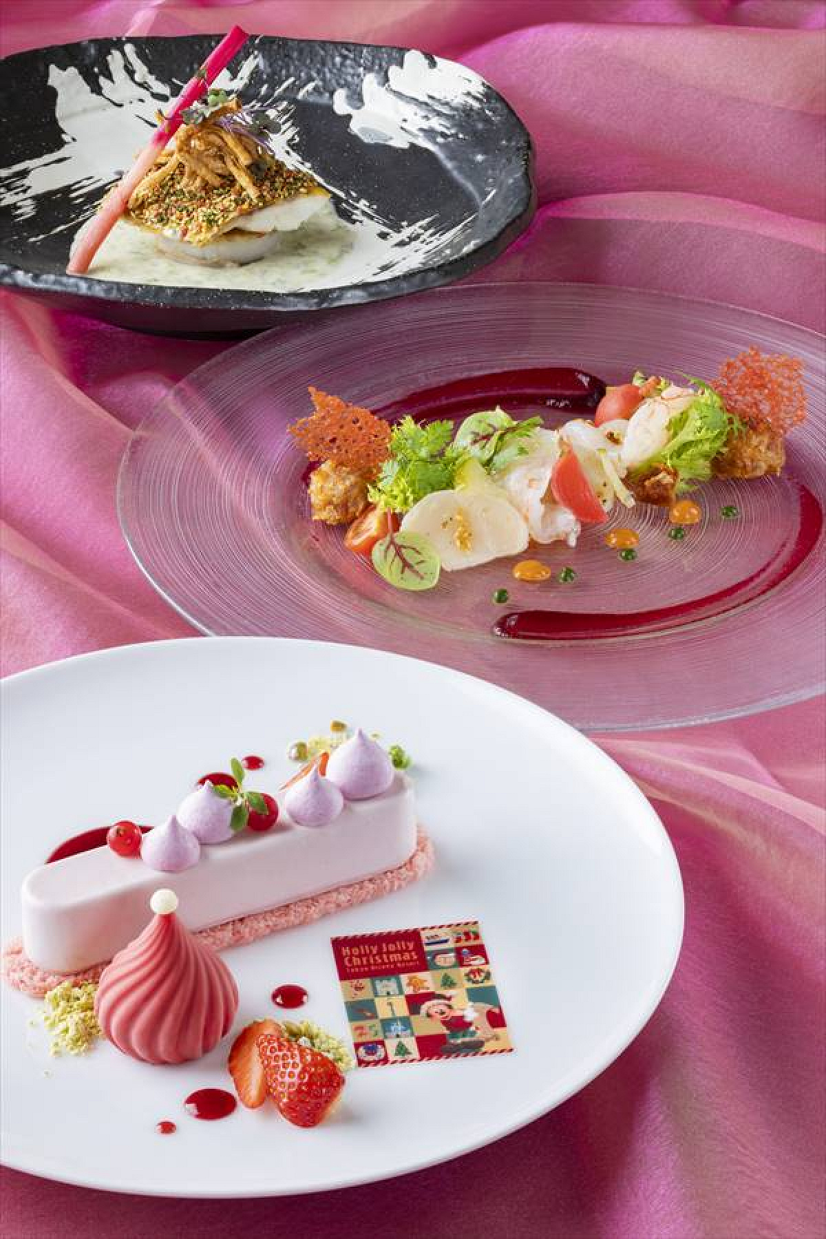 ディズニー・クリスマス　プレシャスカンナ