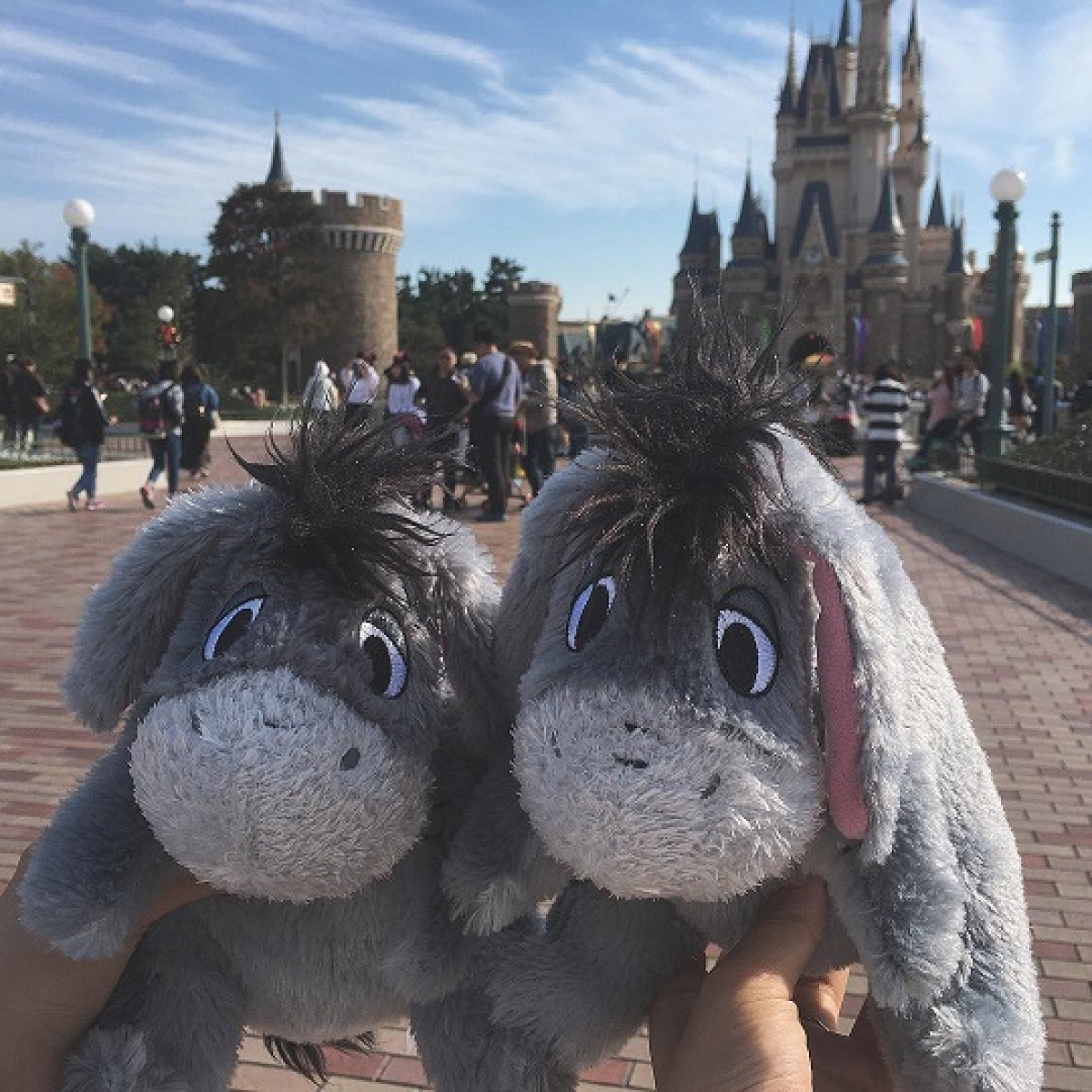 【希少品】イーヨー　東京ディズニーランド　ぬいぐるみ 希少品】イーヨー 東京ディズニーランド ぬいぐるみ - メルカリ