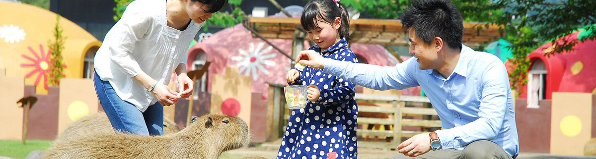 心身ともにリラックスできる阿蘇ファームランドの施設