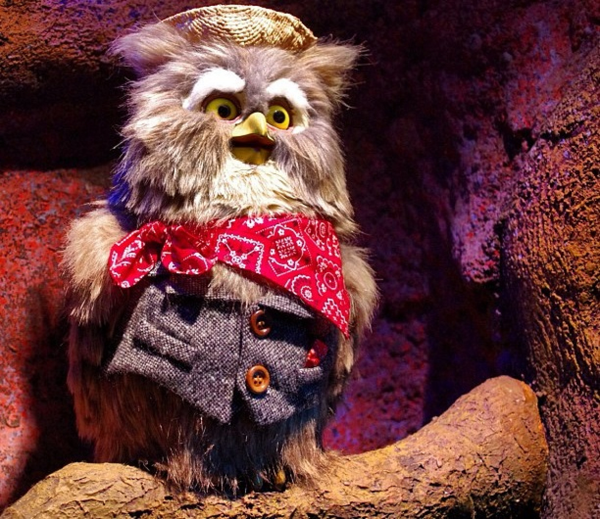 うさぎどんの話を語って聞かせるおじいちゃん| キャステル | CASTEL