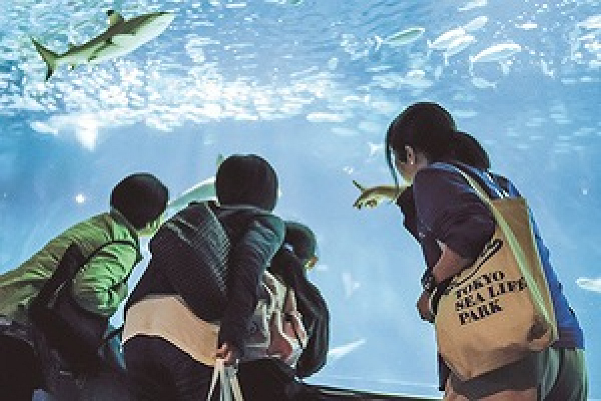 葛西臨海水族園ではガイドツアーも人気です