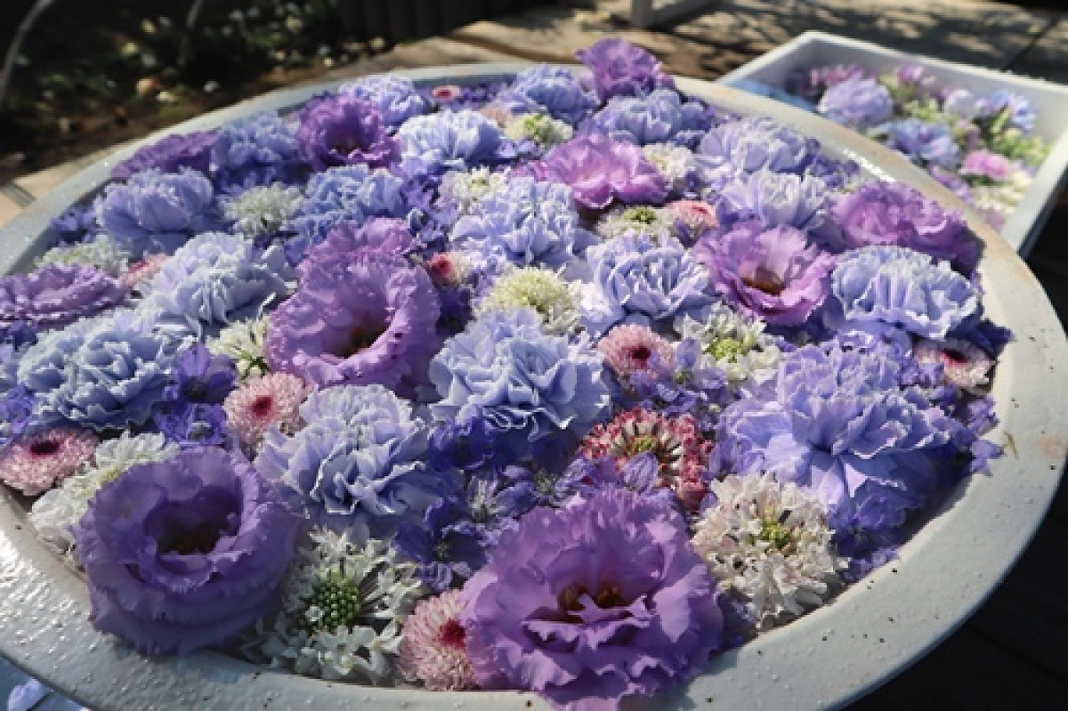 昼の花手水