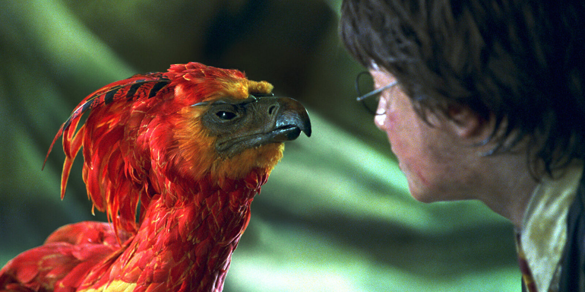 ハリポッターの鳥 ヒッポグリフ|ハリーポッターの魔法生物 ｜ ポッターポータル PotterPortal