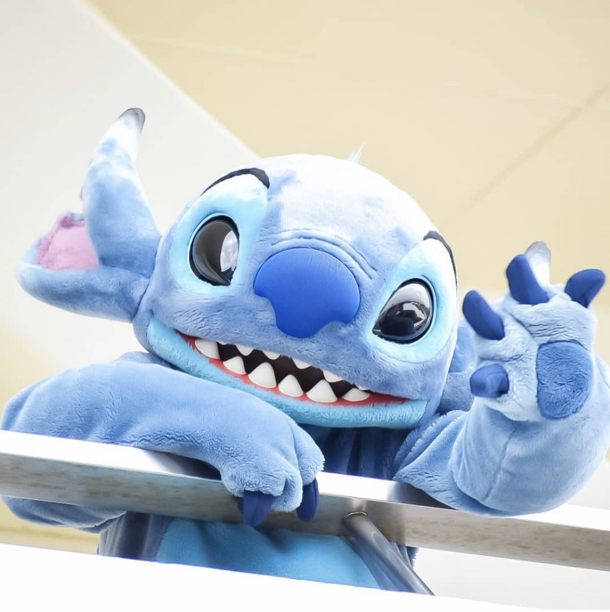 スティッチ| キャステル | CASTEL ディズニー情報