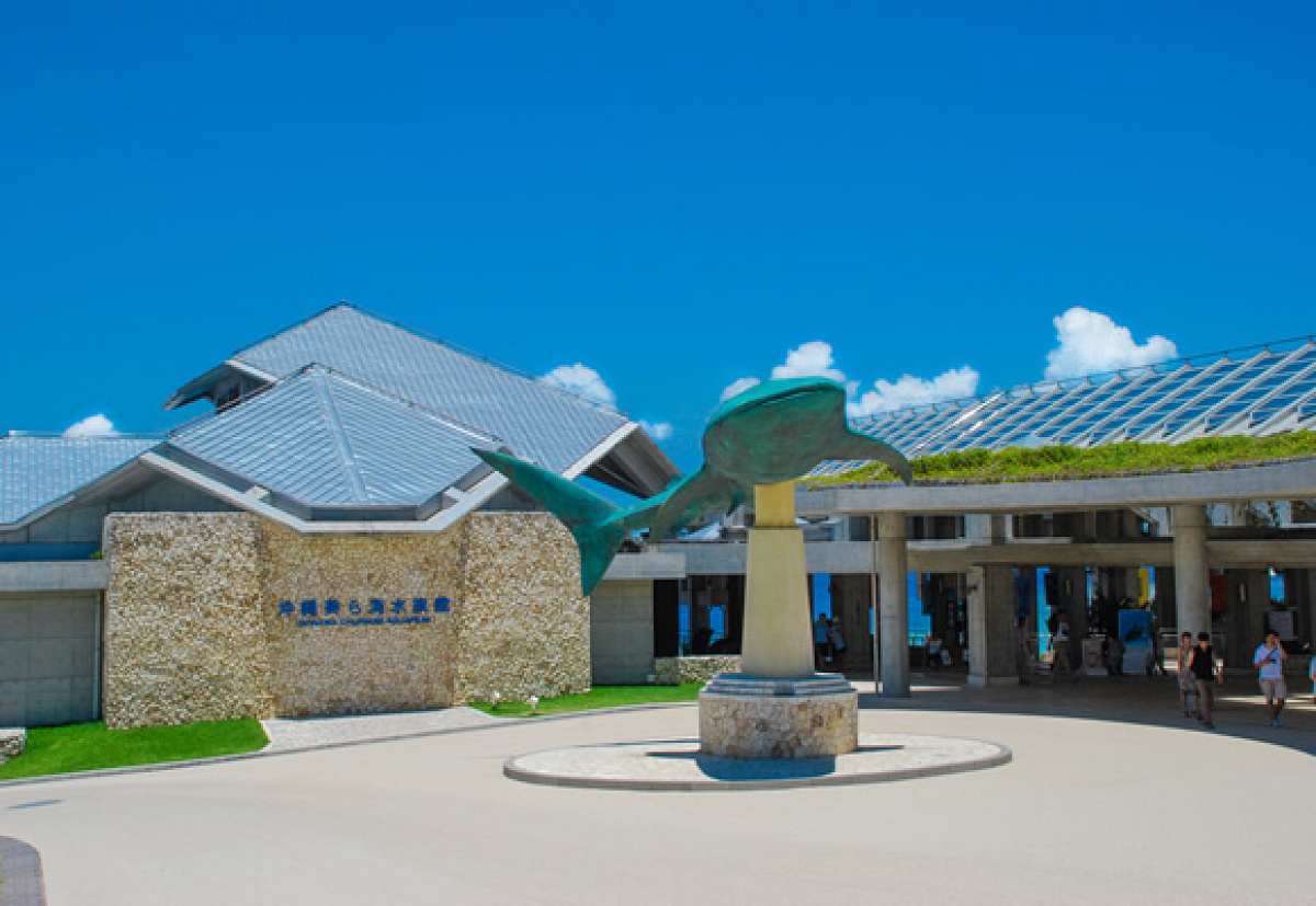 美ら海水族館は、本部町の海洋博公園内にあります。