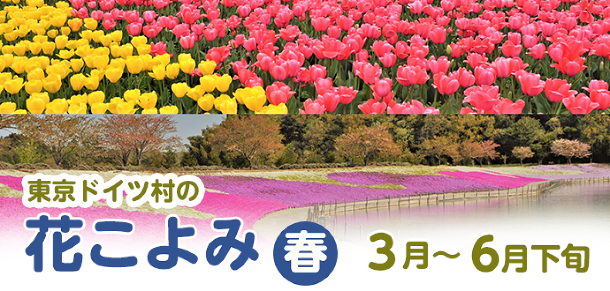 東京ドイツ村の花こよみ（春）