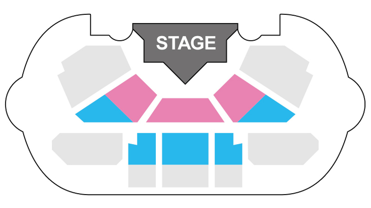 ダンス・ザ・グローブ！の鑑賞エリア