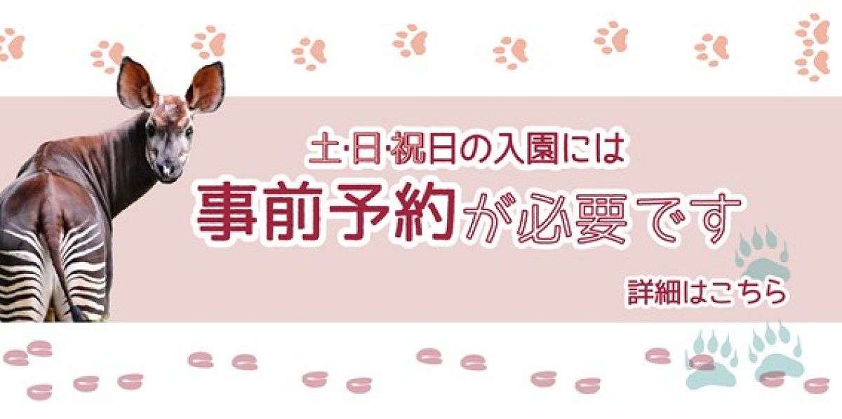 土日祝日の事前予約が必要なズーラシア