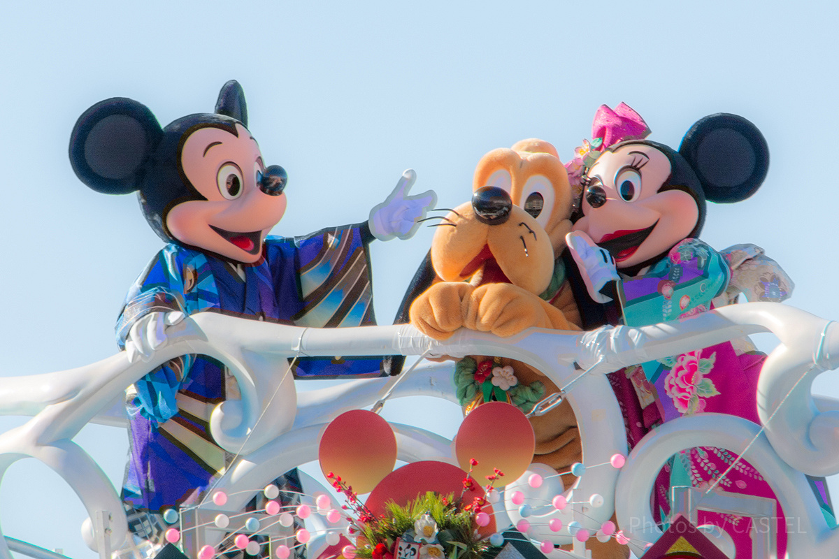 ディズニー成人式で注意するポイント