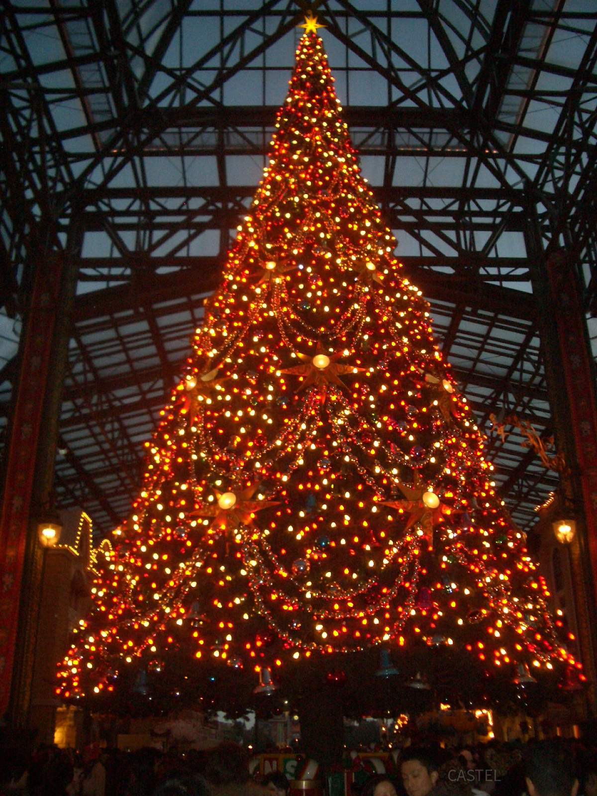 ワールドバザールの天井にまで届きそうなクリスマスツリー