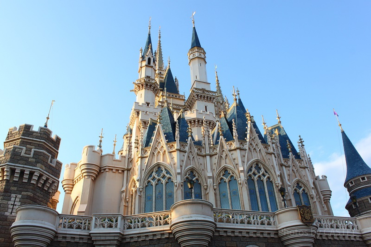 ディズニーランドの入園の流れ