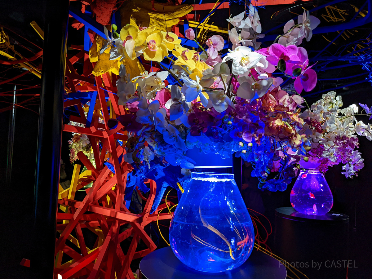 アートアクアリウム銀座　金魚花瓶