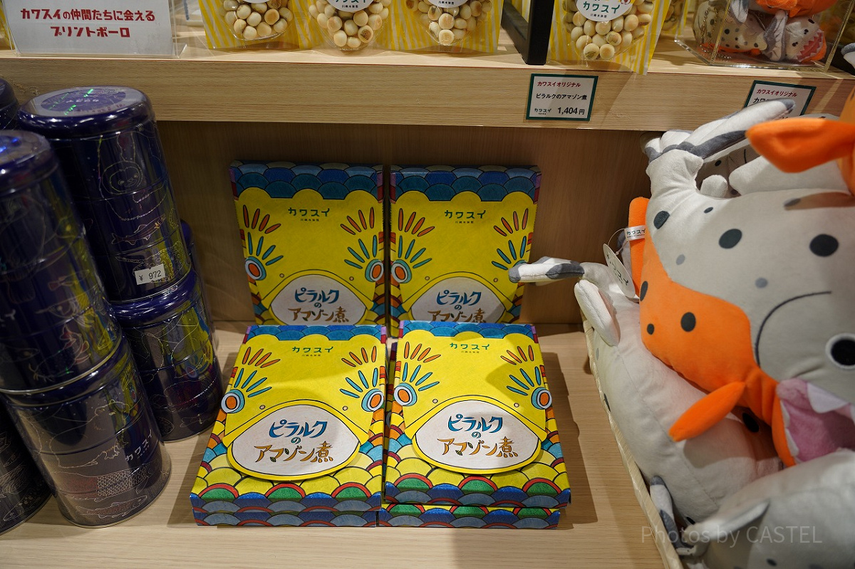 ピラルクのアマゾン煮「箱」