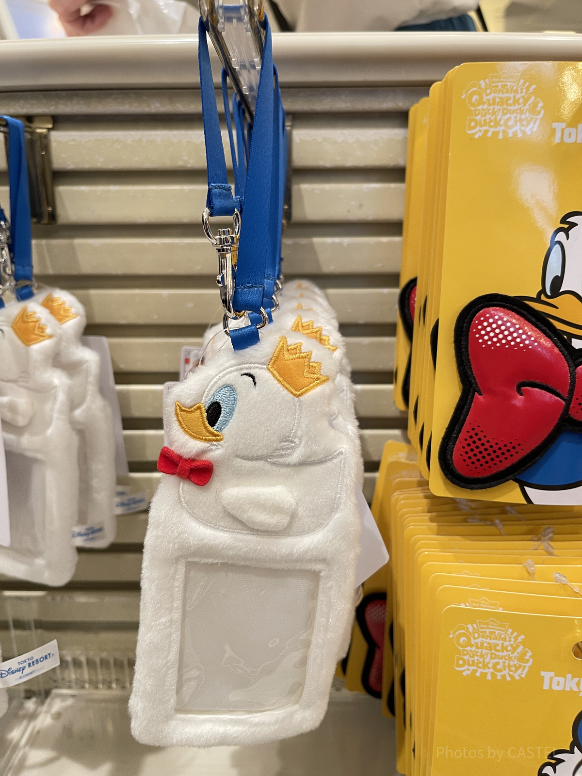 カードホルダー(ドナルドパルパルーザグッズ2025)