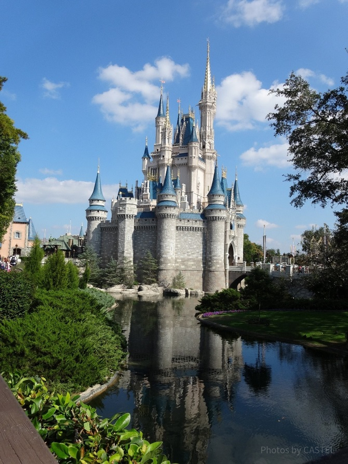 水に映るシンデレラ城| キャステル | CASTEL ディズニー情報