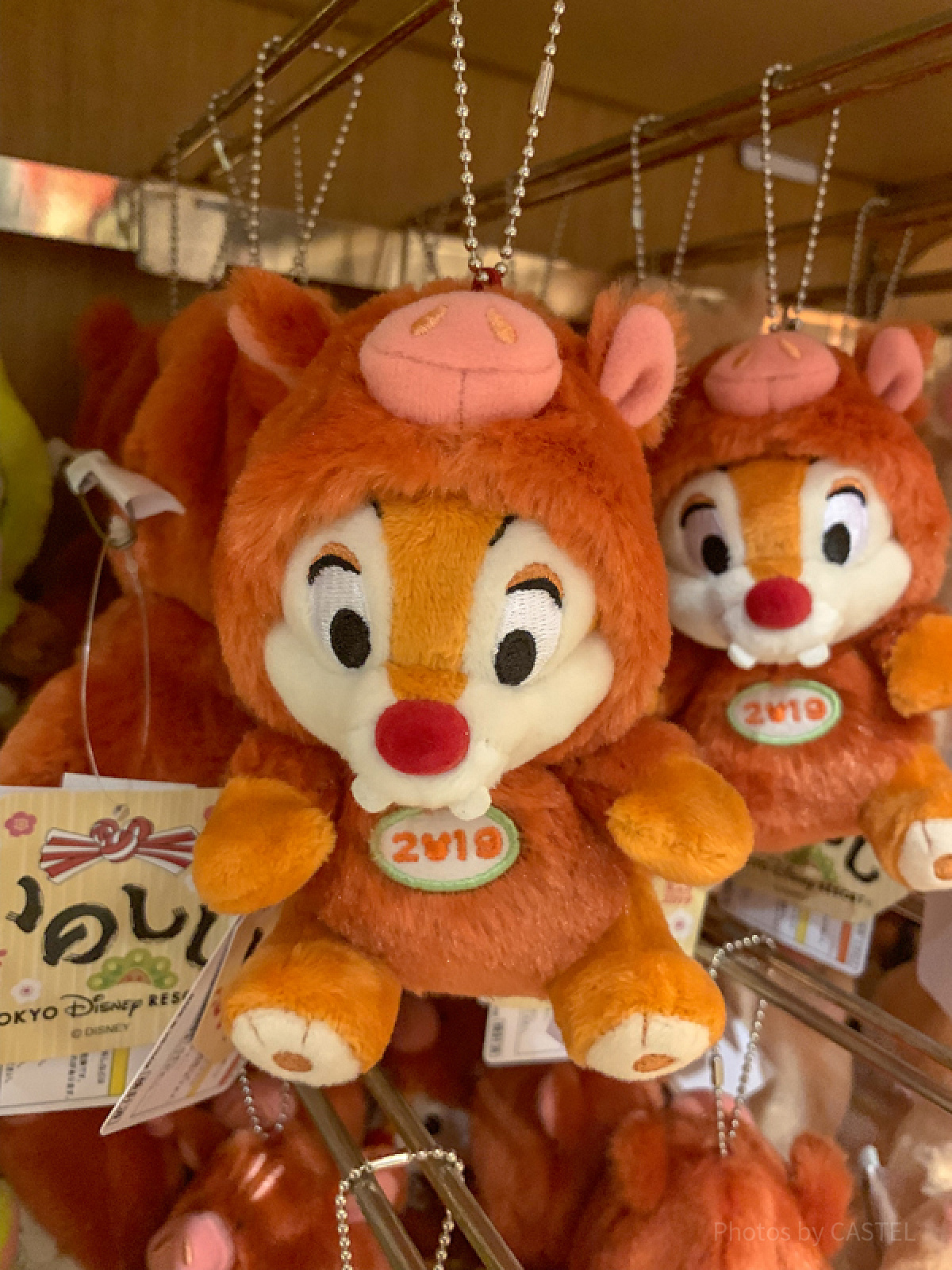 デール干支コスチューム（猪）ぬいぐるみバッジ| キャステル | CASTEL