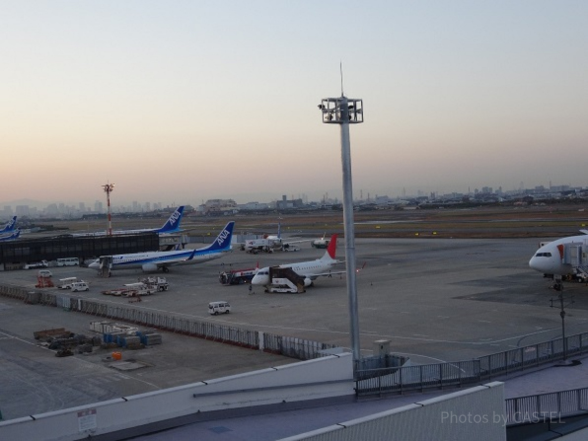 飛行機で日帰りディズニー