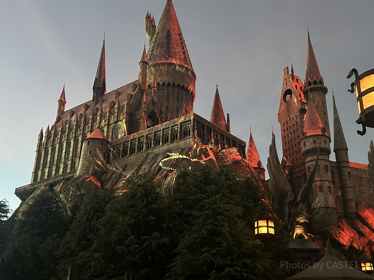 デス・イーター～ホグズミードの危機～で映し出されるアクロマンチュラ