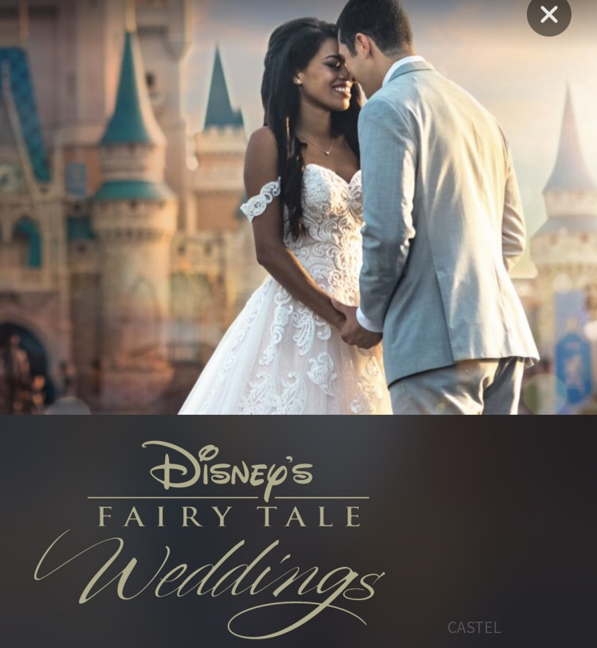 Disney FAIRY TALE Weddings（ディズニー・フェアリーテイル・ウェディング）