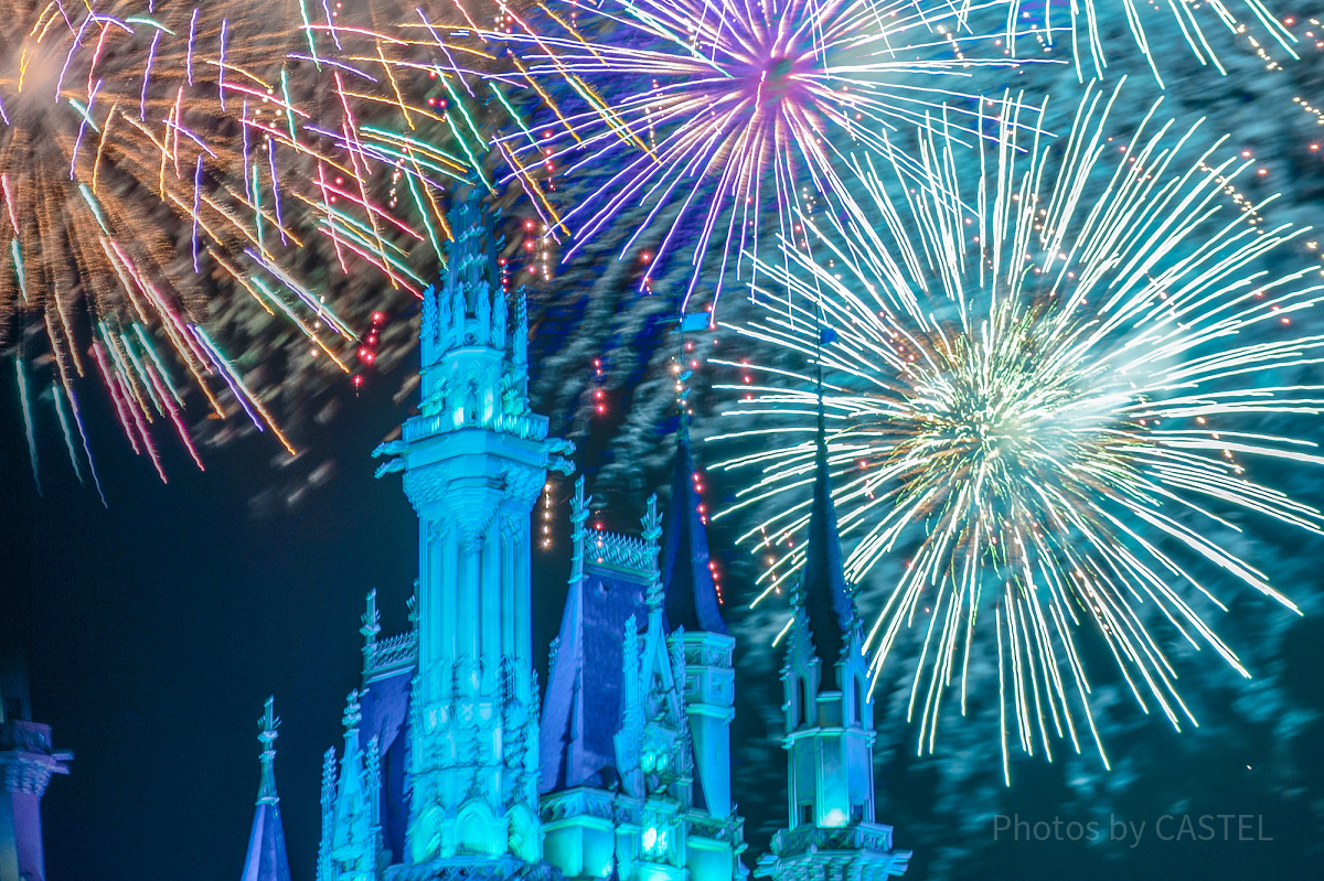 ディズニー 木製装飾品 花火と夜景 ディズニー 木製装飾品 花火と夜景 東京ディズニーランド＆シー