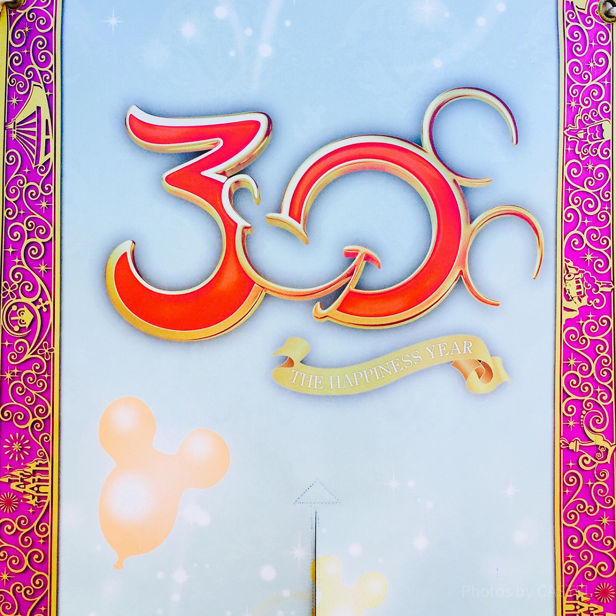 売れ筋がひ贈り物！ ディズニーランドの30周年ロゴ| ディズニー情報 CASTEL | キャステル 小物