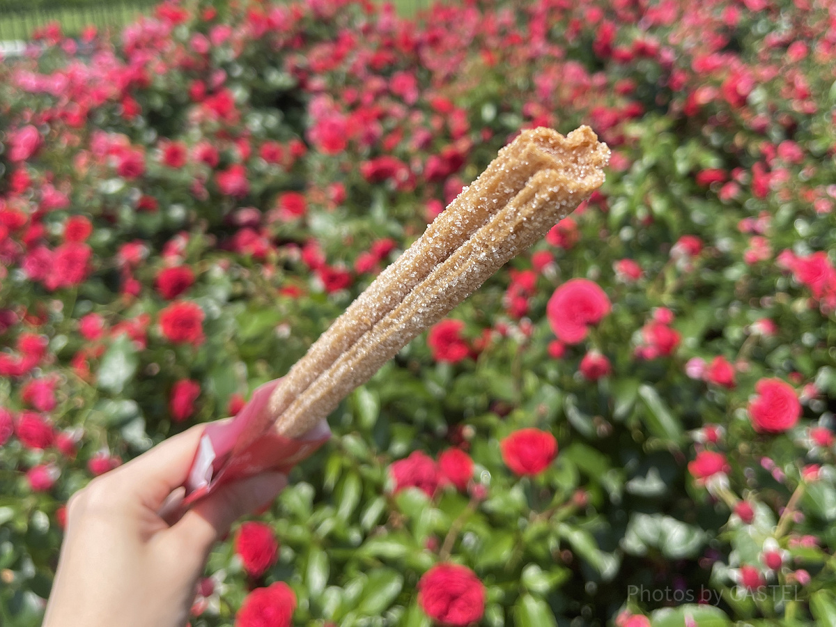 食べ歩きフードを半分こ