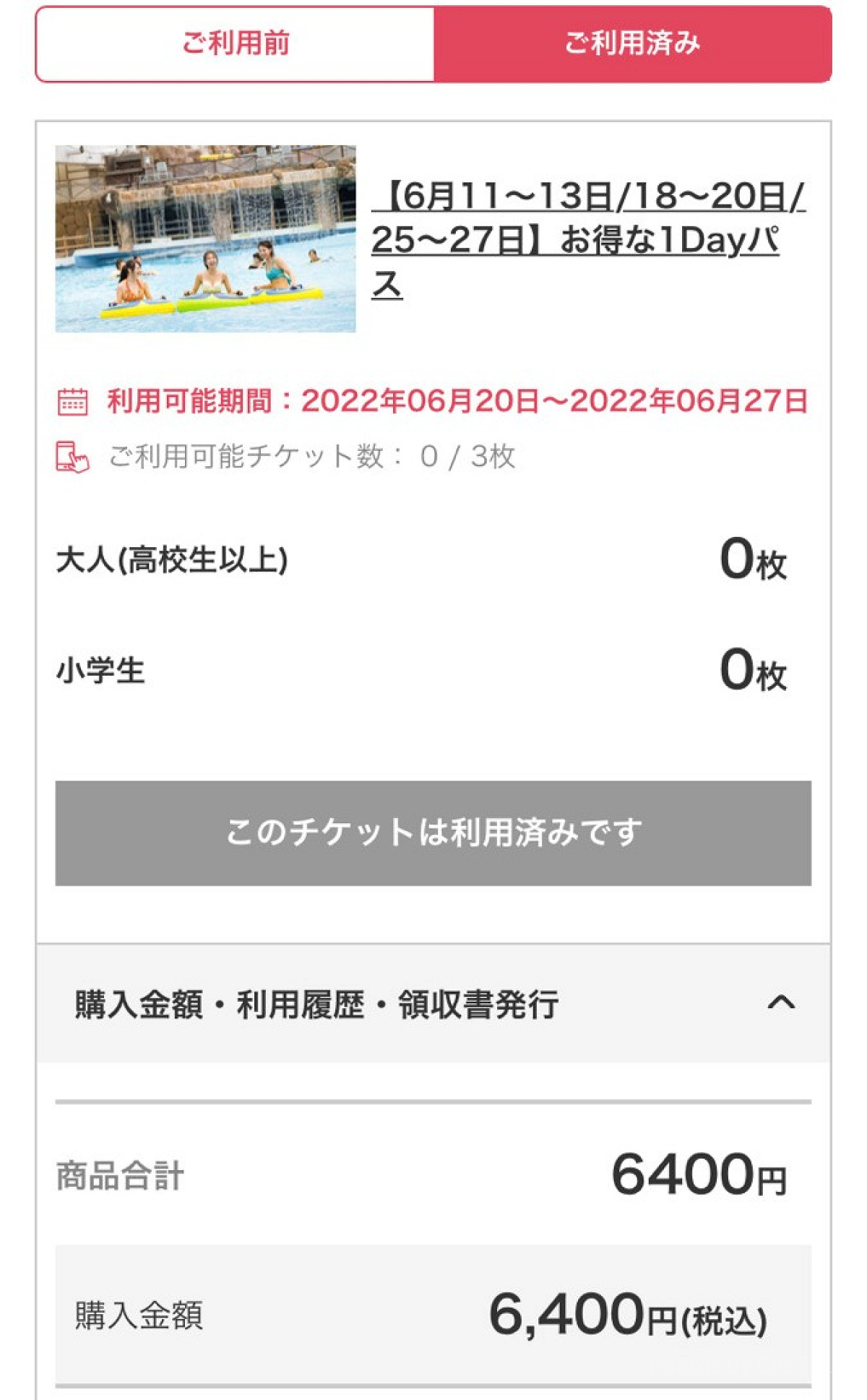 サマーランド チケット 3枚 夏期利用可能 東京サマーランドの サマーランド チケット 3枚 夏期利用可能 東京サマーランドの