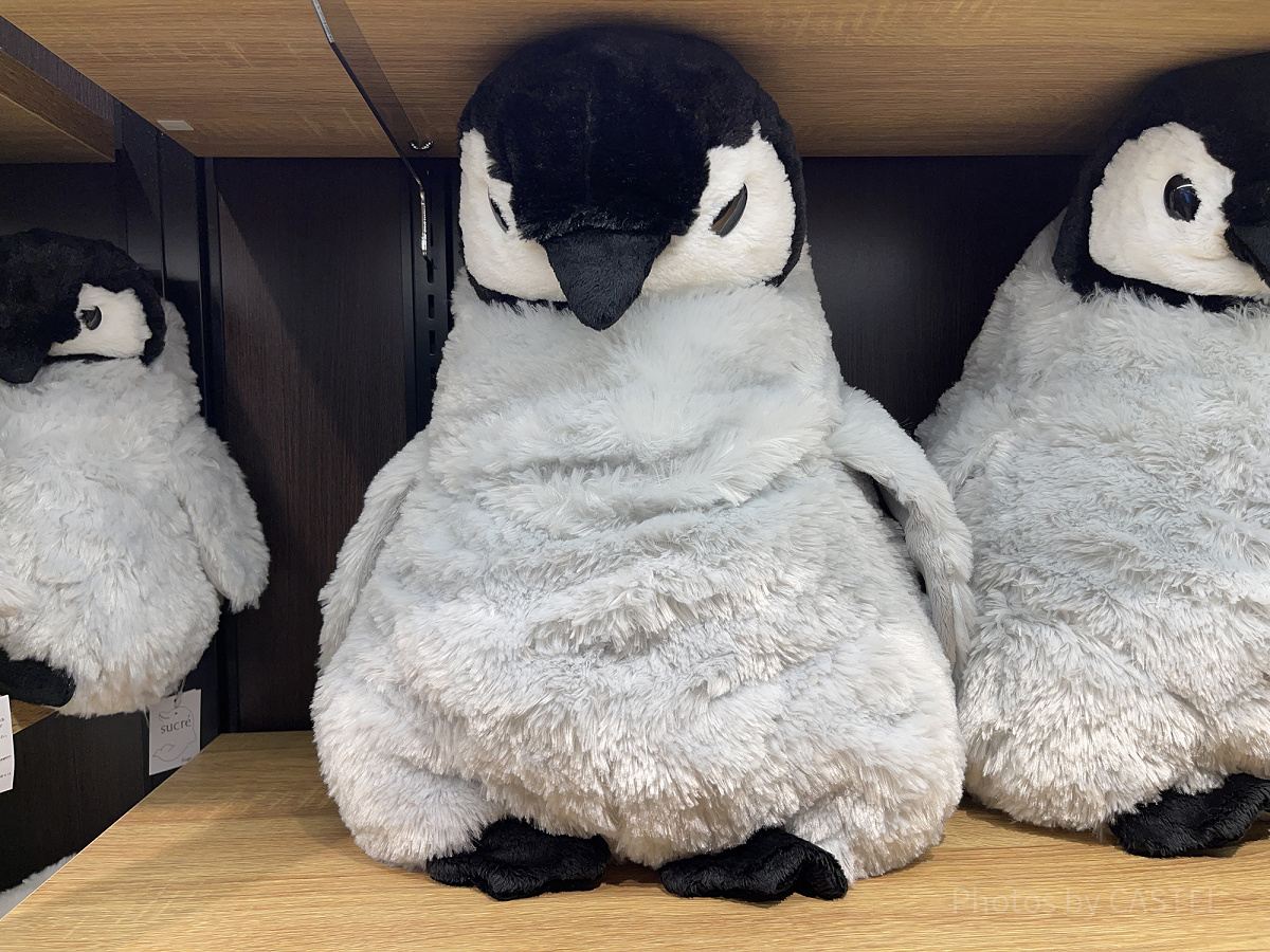 皇帝ペンギンXLぬいぐるみ（アクアパーク品川グッズ）| キャステル