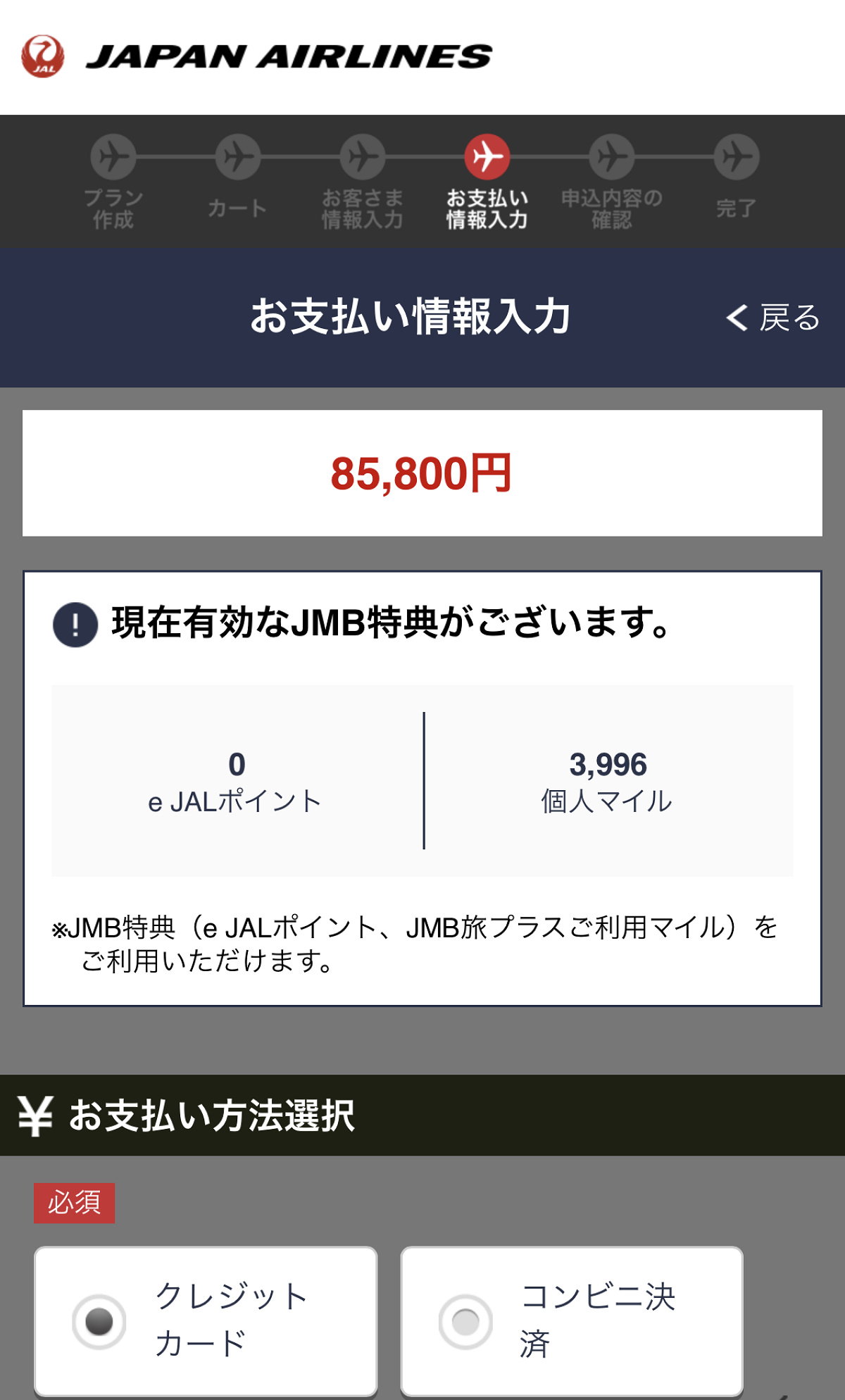 お支払い情報を入力（JAL）