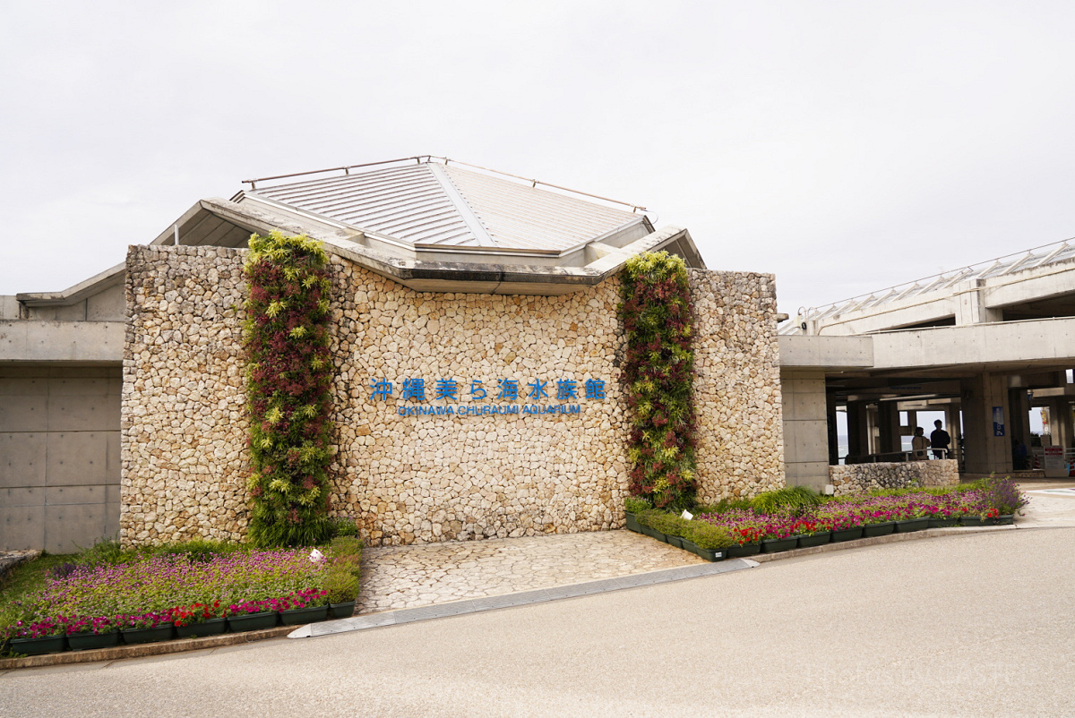 美ら海水族館の外観